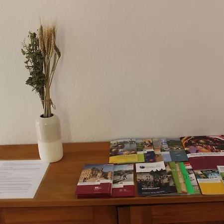 Geraumiges, Gemutliches Und Zentrales Apartment